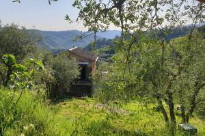 a small building in the middle of a field at fienile di frida in Lucca