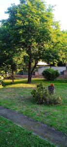 En have udenfor El mocasin