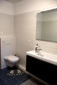 a bathroom with a toilet and a sink and a mirror at Casa Anna in Osogna +38 photos