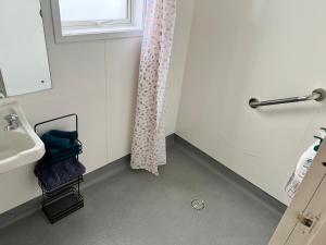 a bathroom with a shower curtain and a sink at Mackenzie Cottage in Twizel +15 photos