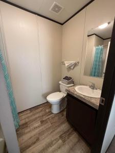 a bathroom with a toilet and a sink and a mirror at Mesquite Oasis Lodging in Odessa