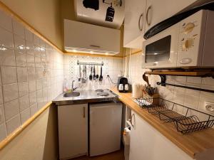 Una pequeña cocina con fregadero y microondas. en Le Repaire des Sablons 2 Pers 150m place du marche, en Fontainebleau