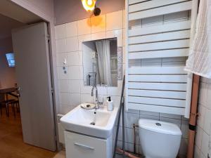 un baño con lavabo e inodoro en Le Repaire des Sablons 2 Pers 150m place du marche, en Fontainebleau