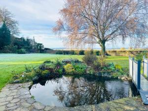 a small pond in a garden with a fence at Randall Farm in Fawkham +26 photos
