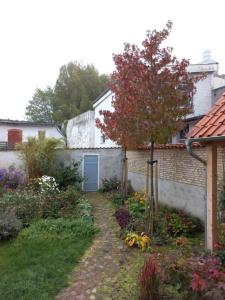 a garden in front of a house with a tree at Studio mit Panoramablick in Flensburg +7 photos