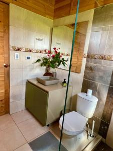 Ένα μπάνιο στο Cabaña La Yegüera +3 φωτογραφίες