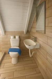 a bathroom with a toilet and a sink at Giorgos House Attic in Gialova