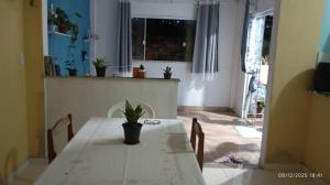 a dining room table with a potted plant on it at Casa temporada Tucano in Vera Cruz de Itaparica