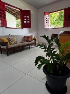 a living room with a couch and a potted plant at Casa Alegria - Praia de Catuama -PE in Goiana
