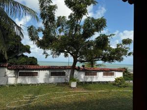 a house with a tree in front of it at Casa Alegria - Praia de Catuama -PE in Goiana