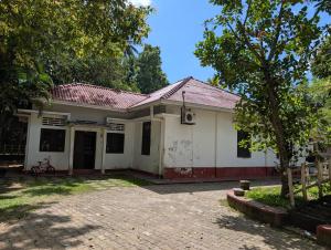 a white house with a tree in front of it at Marvella dickwella in Dickwella