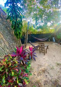 Casa Teepee في زيبوليت: مقعد وأرجوحة وبعض الزهور الوردية