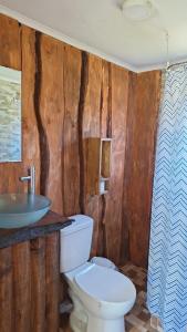 un baño con inodoro y lavabo en Paraíso Rustico 3, en Curacautín