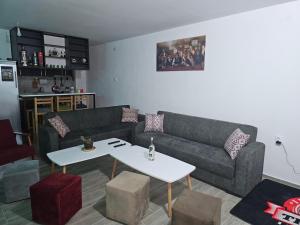 Χώρος καθιστικού στο Apartman Br 59