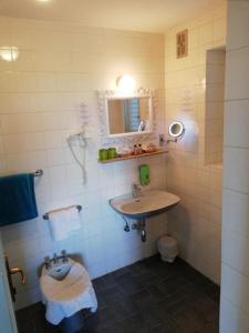 un baño con lavabo e inodoro en Villa Senegačnik, en Portorož