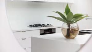 a plant in a vase sitting on a counter in a kitchen at The Avenue in Sawtell