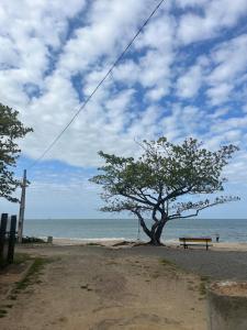 Naturlandskabet i nærheden af lejligheden + 22 billeder