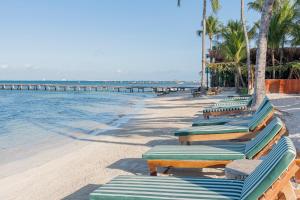 a row of chaise lounge chairs on the beach at Mayan Monkey Isla Mujeres - Social Hotel in Isla Mujeres