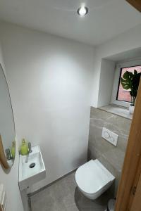 Ένα μπάνιο στο Villa aux portes de Bruxelles +8 φωτογραφίες