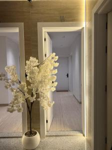 Φωτογραφία από το άλμπουμ του تيوليب للشقق الفندقية - Self entry στο Νταμάμ