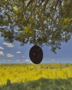 un sombrero colgando de un árbol en un campo en Vecchio Toro - Cabanas & Chalés Villaggio Girotto, en Braúna