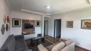 Excelente Apartamento em Casarão Histórico في ماريانا: غرفة معيشة مع أريكة وتلفزيون