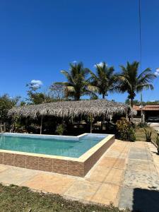 een zwembad met een rieten parasol en palmbomen bij Chácara do sossego in Viçosa do Ceará