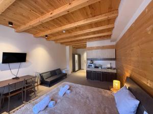 TV a/nebo společenská místnost v ubytování New Gudauri La Suites