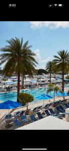 Бассейн в Chill Vibes или поблизости