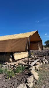 Maanzoni backpackers infinity camp grounds في Kenplains: خيمة بنية اللون في وسط الحقل