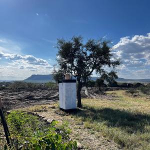 Maanzoni backpackers infinity camp grounds في Kenplains: شجرة وصندوق أبيض في حقل +صورة واحدة