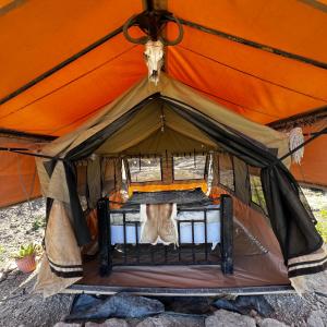 Maanzoni backpackers infinity camp grounds في Kenplains: خيمة كبيرة فيها سرير