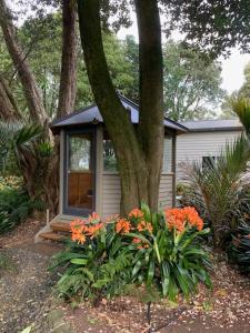 O grădină în afara Wilben Cottage Patumahoe