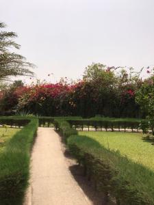 Fotografie z fotogalerie ubytování Joys Garden Retreat v destinaci Sanyang