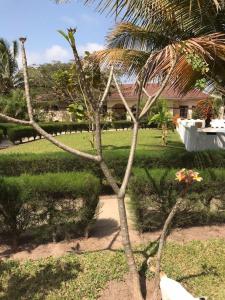 Fotografie z fotogalerie ubytování Joys Garden Retreat v destinaci Sanyang