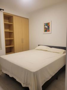 a large white bed in a room with a closet at Casa espaçosa no coração de Floripa in Florianópolis