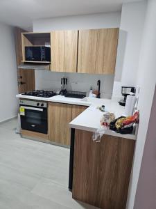 a kitchen with wooden cabinets and a counter top at Girasoles del parque in Estación El Salto