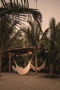 a hammock on a beach with two palm trees at Casa Chula Hotel Boutique Frente al Mar in Tierra Blanca