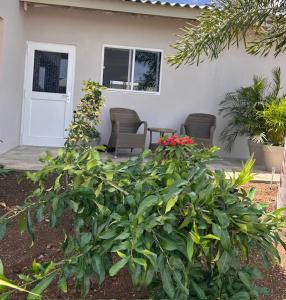a house with two chairs and a plant in front of it at Apartments & Wellness Diva Turtle in Sint Jozefsdal