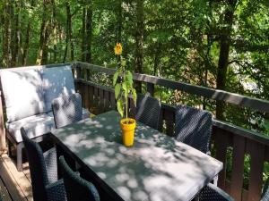 uma mesa com uma planta em um deck com cadeiras em Relaxing Ardennes Getaway in Durbuy em Septon