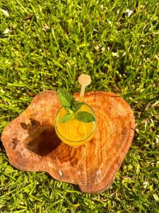 a piece of wood with an orange on top of a leaf at Hotel Campestre Cinco Estrellas in Villavicencio
