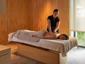 Spa și/sau alte facilități de wellness de la Domaine de la Reine Margot Paris-Issy - MGallery Collection