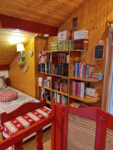 a bedroom with a bed and a book shelf filled with books at Cocon Nature in La Bourgonce