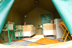 a group of beds in a tent at Kashete Plains Expedition & Campsite - Okavango Eastern Panhandle in Goa