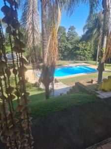 een zwembad in een tuin met een palmboom bij Chácara com 3 dormitórios in Louveira