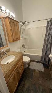 een badkamer met een wastafel, een toilet en een douche bij Sunrise Ridge in Phoenix +13 foto's