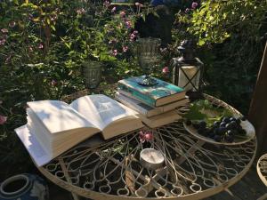 Mathilde Comfortable holiday residence في بوكِنغ: ثلاثة كتب على طاولة مع شمعة وعنب +13 صورة