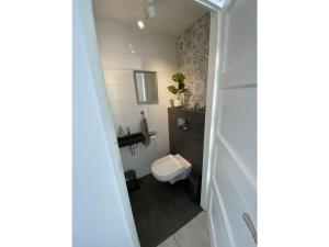 a small bathroom with a toilet and a sink at Holiday home with 1 bedroom in Medemblik +34 photos