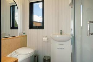 a bathroom with a toilet and a sink and a mirror at Aorangi Peak Cabins 7 by Tiny Away in Rotorua