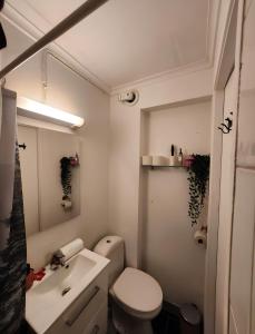 スタヴァンゲルにあるStavanger Ultra Central Daliのトイレと洗面台のある小さなバスルーム
